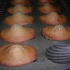 madeleines