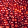 Cerises aux sirop