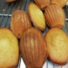 madeleines au miel