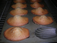 madeleines