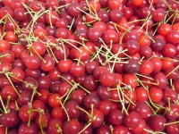 Cerises aux sirop