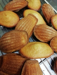 madeleines au miel