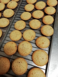 financiers à la noisette