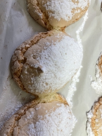 Biscuit Cuillère